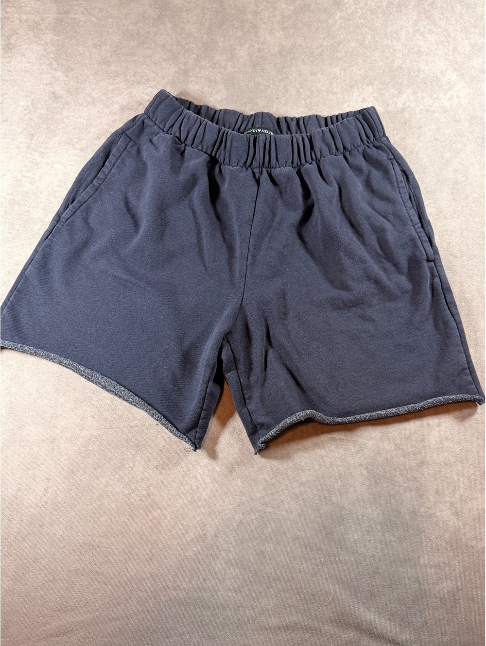 Brandy Melville navy shorts